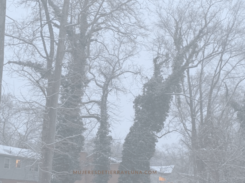 La plenitud de&nbsp;Ser