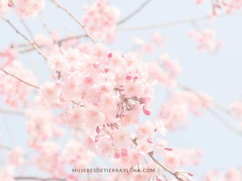 Energía de los colores de&nbsp;primavera