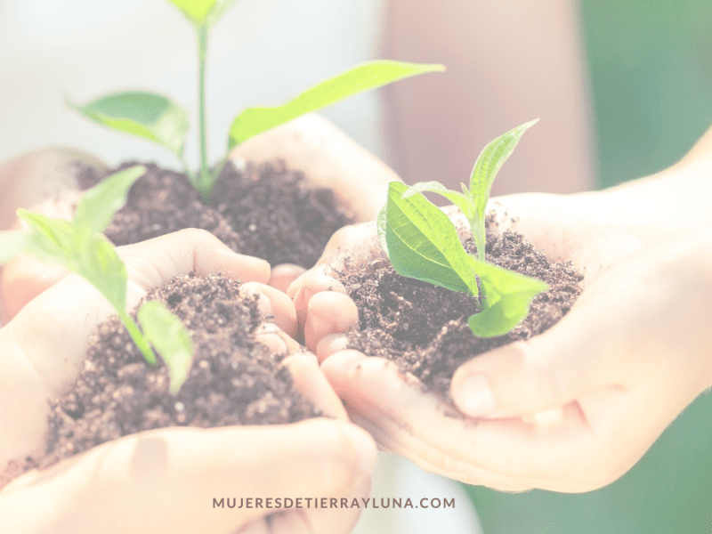 Se una ambientalista&nbsp;imperfecto